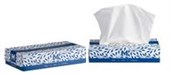 MATHEWS FLAT FACIAL TISSUES  WHITE 2 PLY 100 SHEETS 48CTN