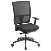 EDEN MEDIA ERGO EXECUTIVE CHAIR MIDBACK WITH ARMS NYLON BASE MESH BACK BLACK
