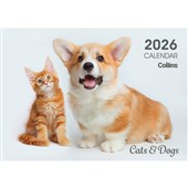 BISCAY CALENDAR W300 X L210MM CATS AND KITTENS EVEN YEAR